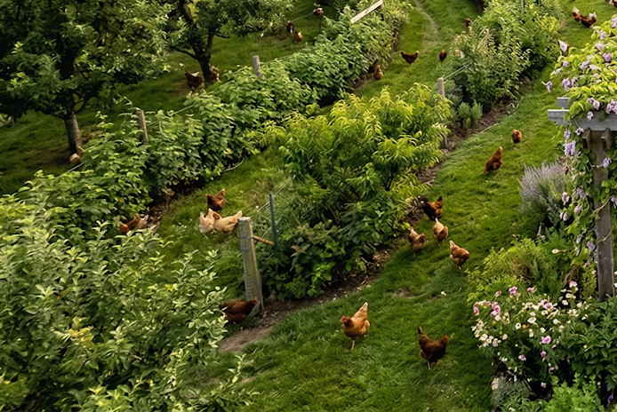 Livestock Integration